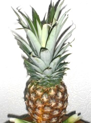 Ananas